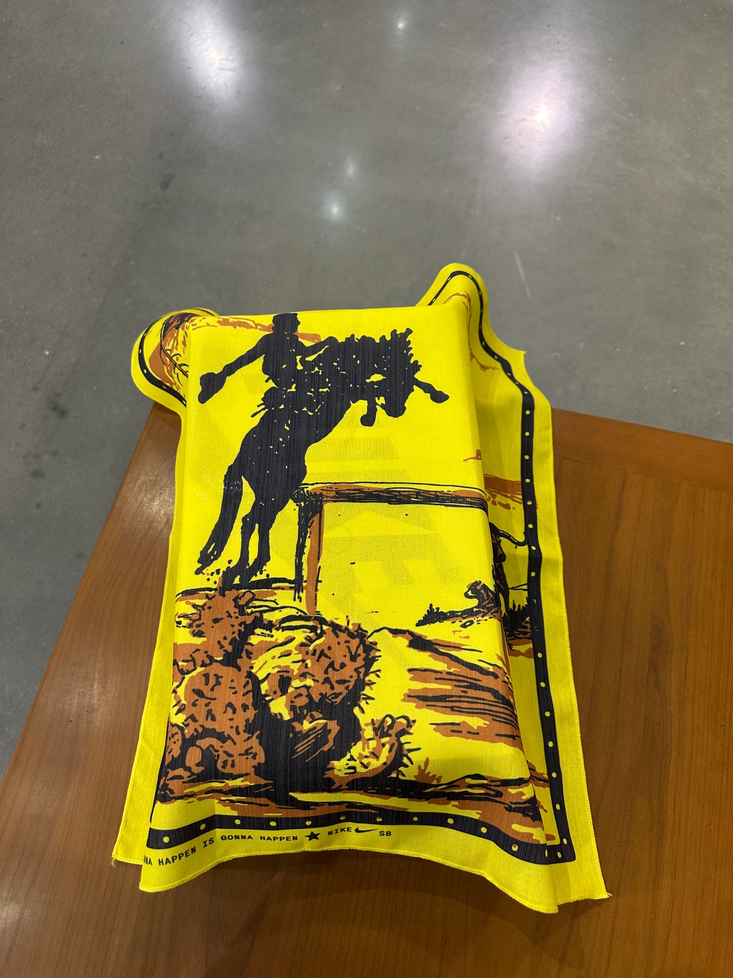 Nike SB Dunk Low Rodeo Tourmaline