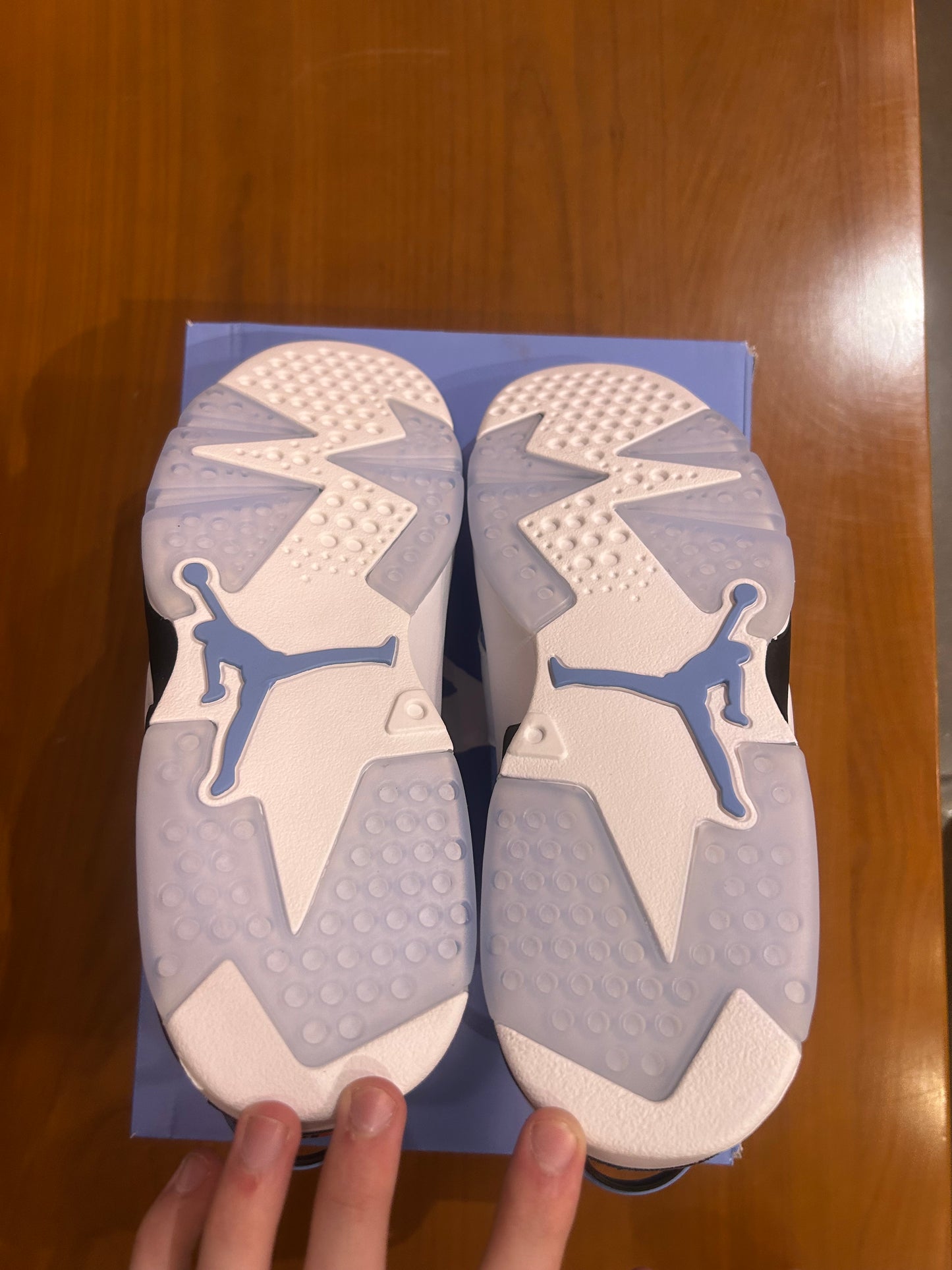 Air Jordan 6 UNC