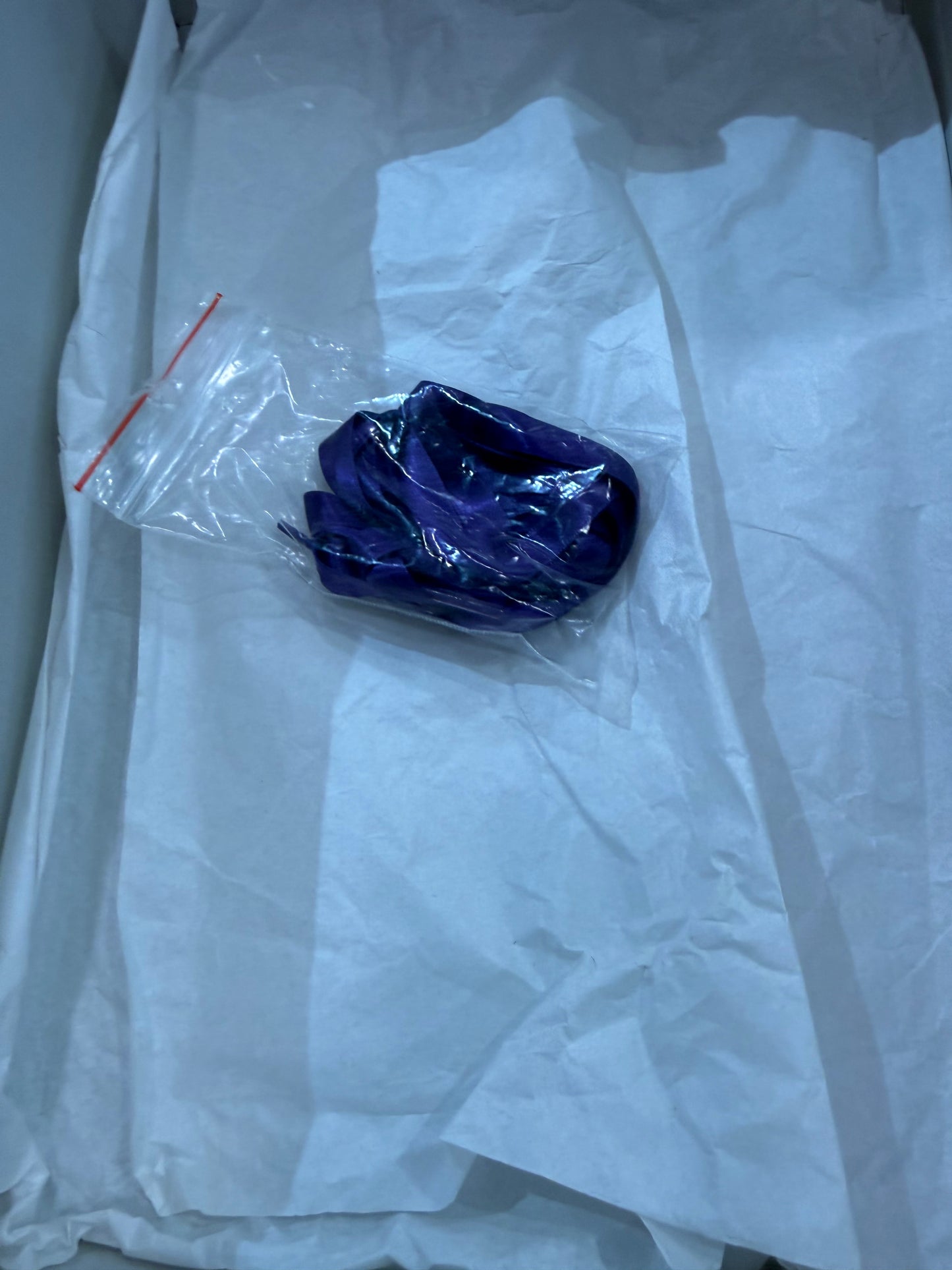 Preowned Nike Dunk Low Lisa Leslie