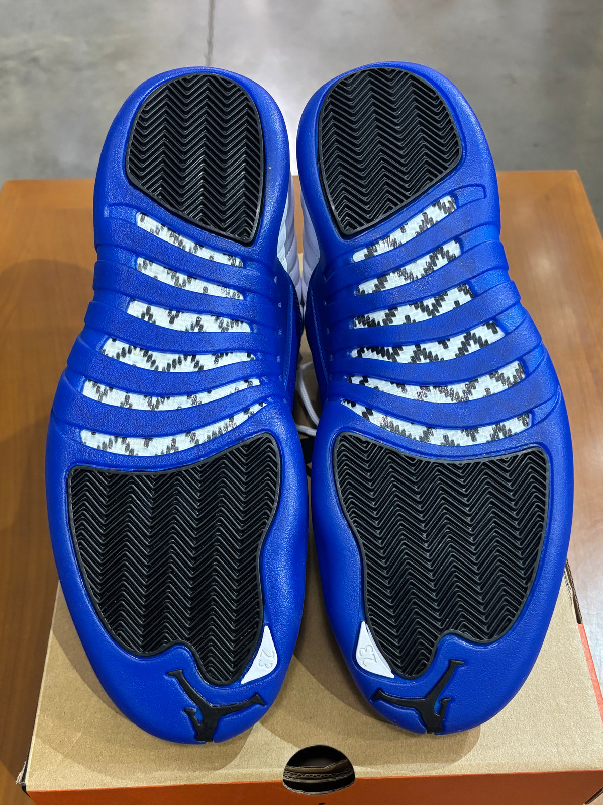 Air Jordan 12 Blueberry
