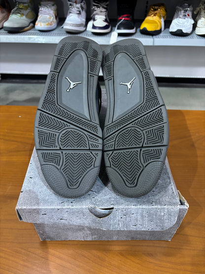 Preowned Air Jordan 4 Paris Wet Cement