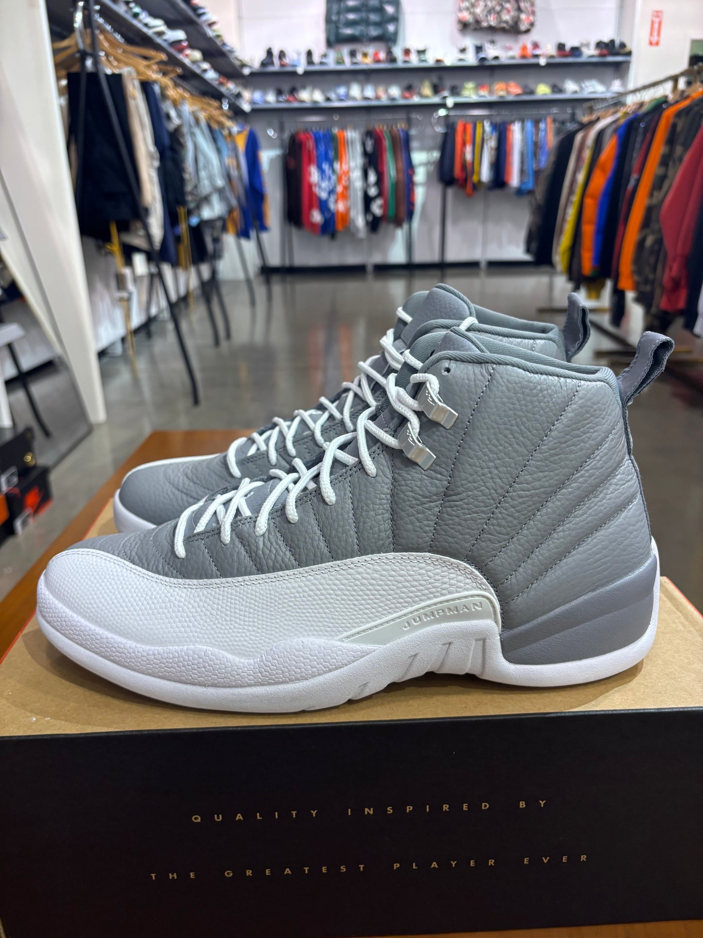 Air Jordan 12 Stealth