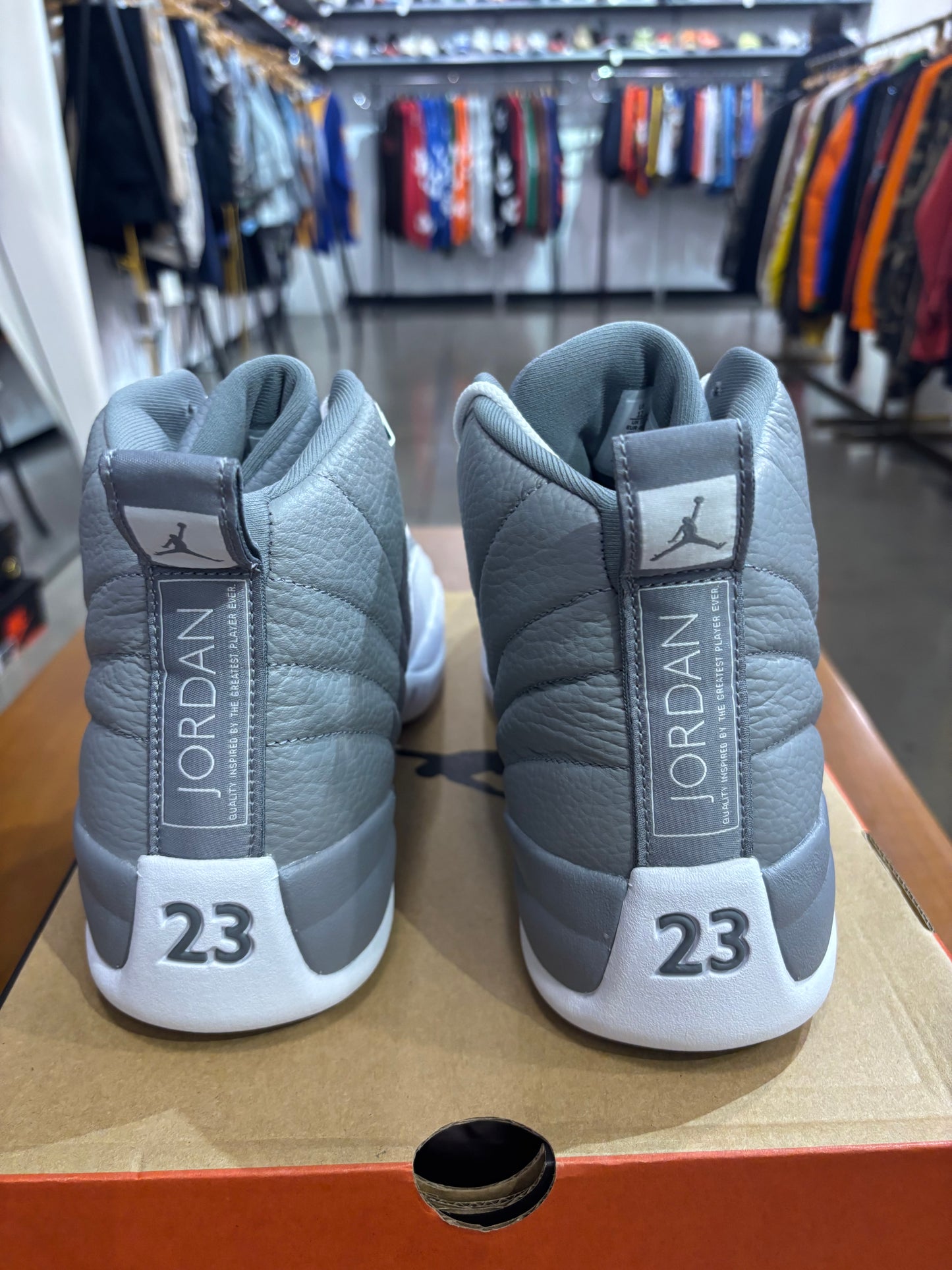 Air Jordan 12 Stealth