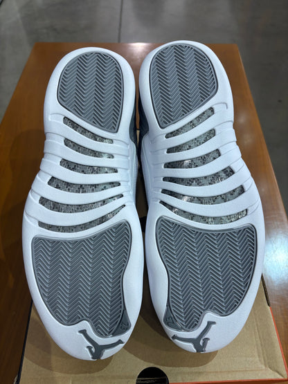 Air Jordan 12 Stealth