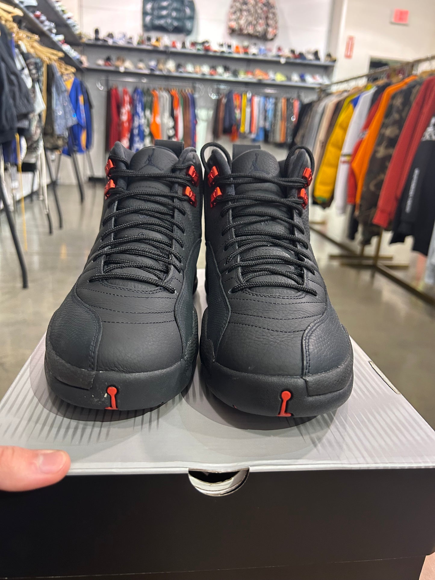 Air Jordan 12 Bloodline