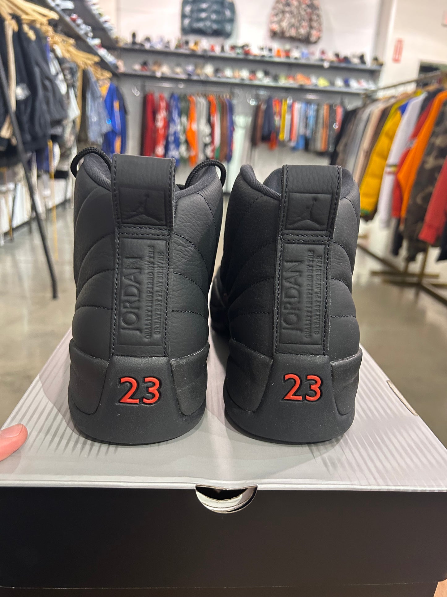 Air Jordan 12 Bloodline