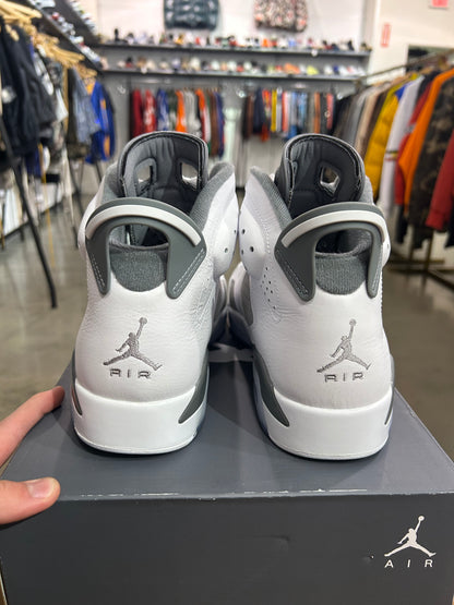 Air Jordan 6 Cool Grey