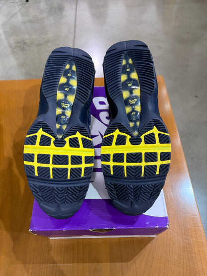 Preowned Air Max 95 SB Eric Koston