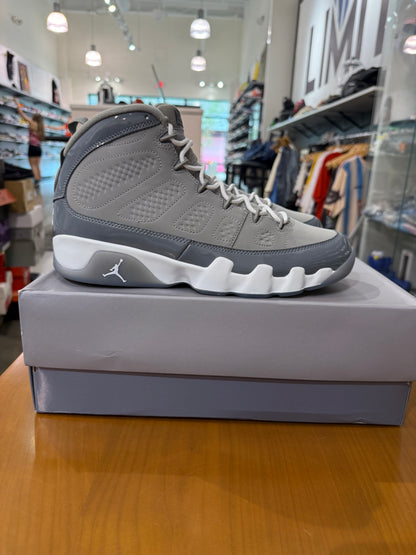 Air Jordan 9 Cool Grey
