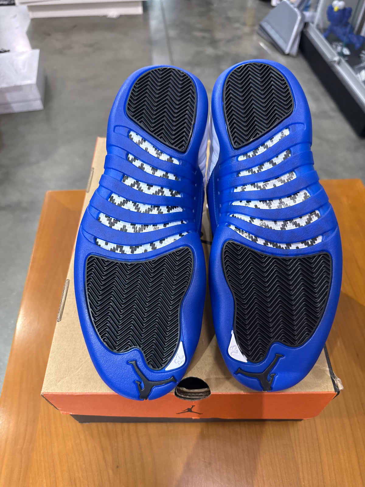 Air Jordan 12 Blueberry