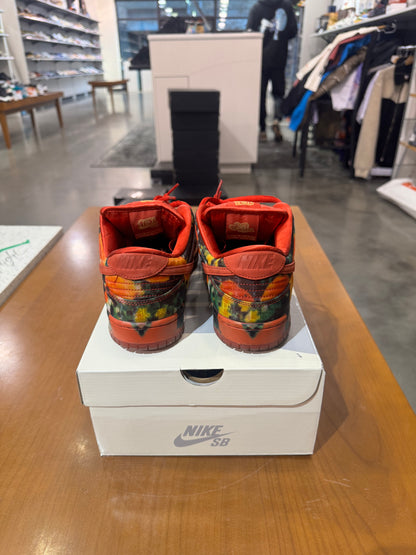 Preowned Nike SB Dunk Low Wizard of Oz