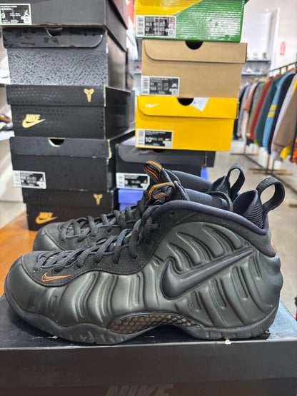 Preowned Nike Foamposite Seqouia