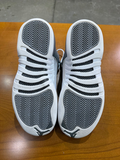 Preowned Air Jordan 12 Stealth