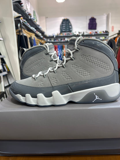 Air Jordan 9 Cool Grey