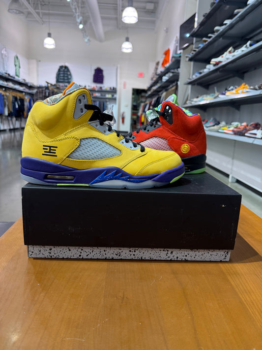 Air Jordan 5 What The