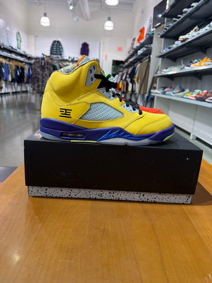 Air Jordan 5 What The