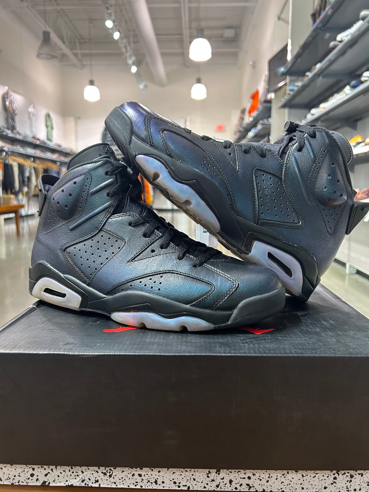 PREOWNED Air Jordan 6 All Star Chameleon