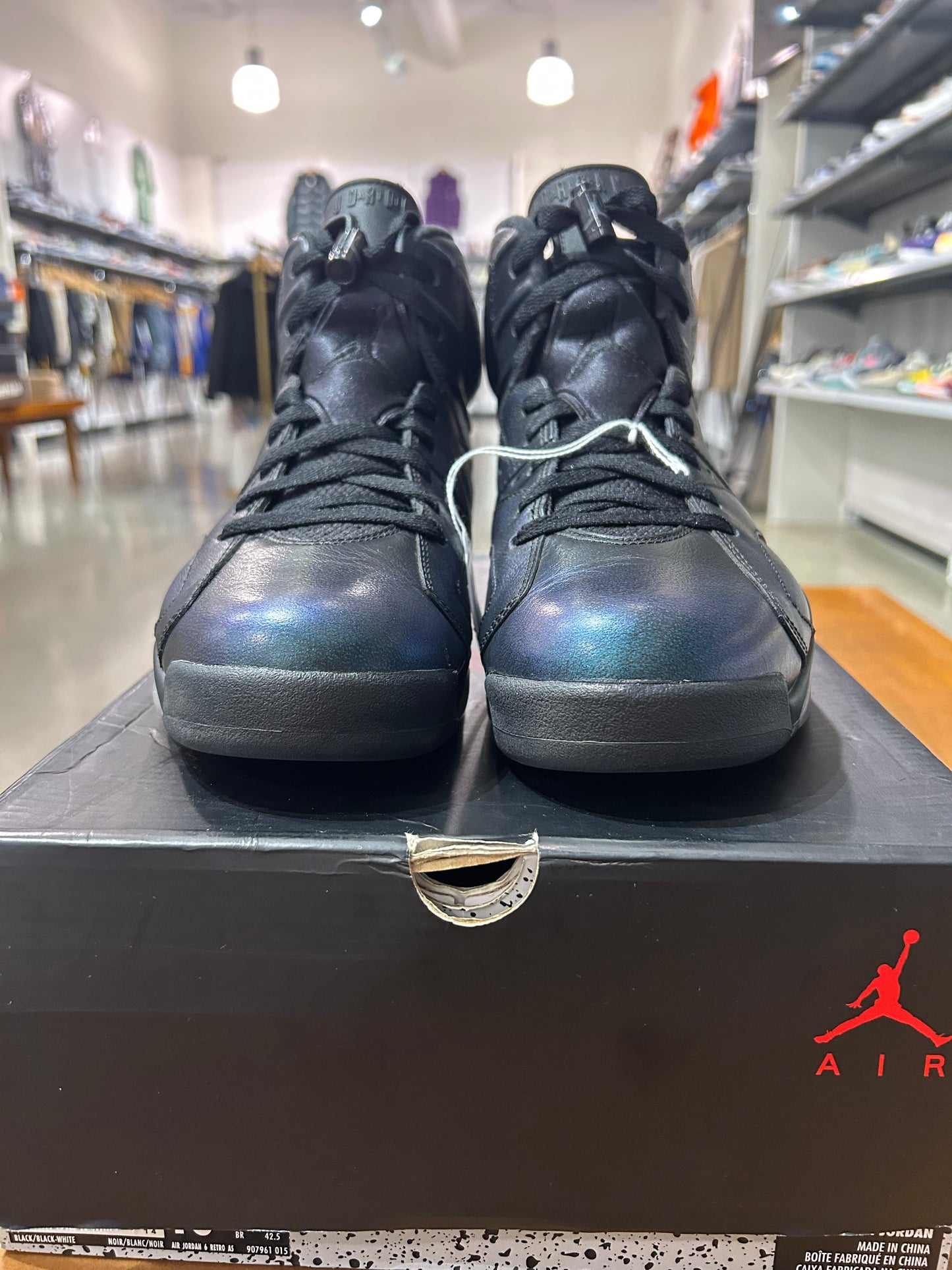 PREOWNED Air Jordan 6 All Star Chameleon
