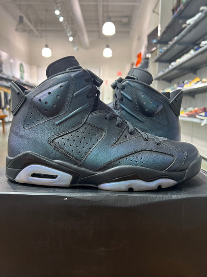 PREOWNED Air Jordan 6 All Star Chameleon