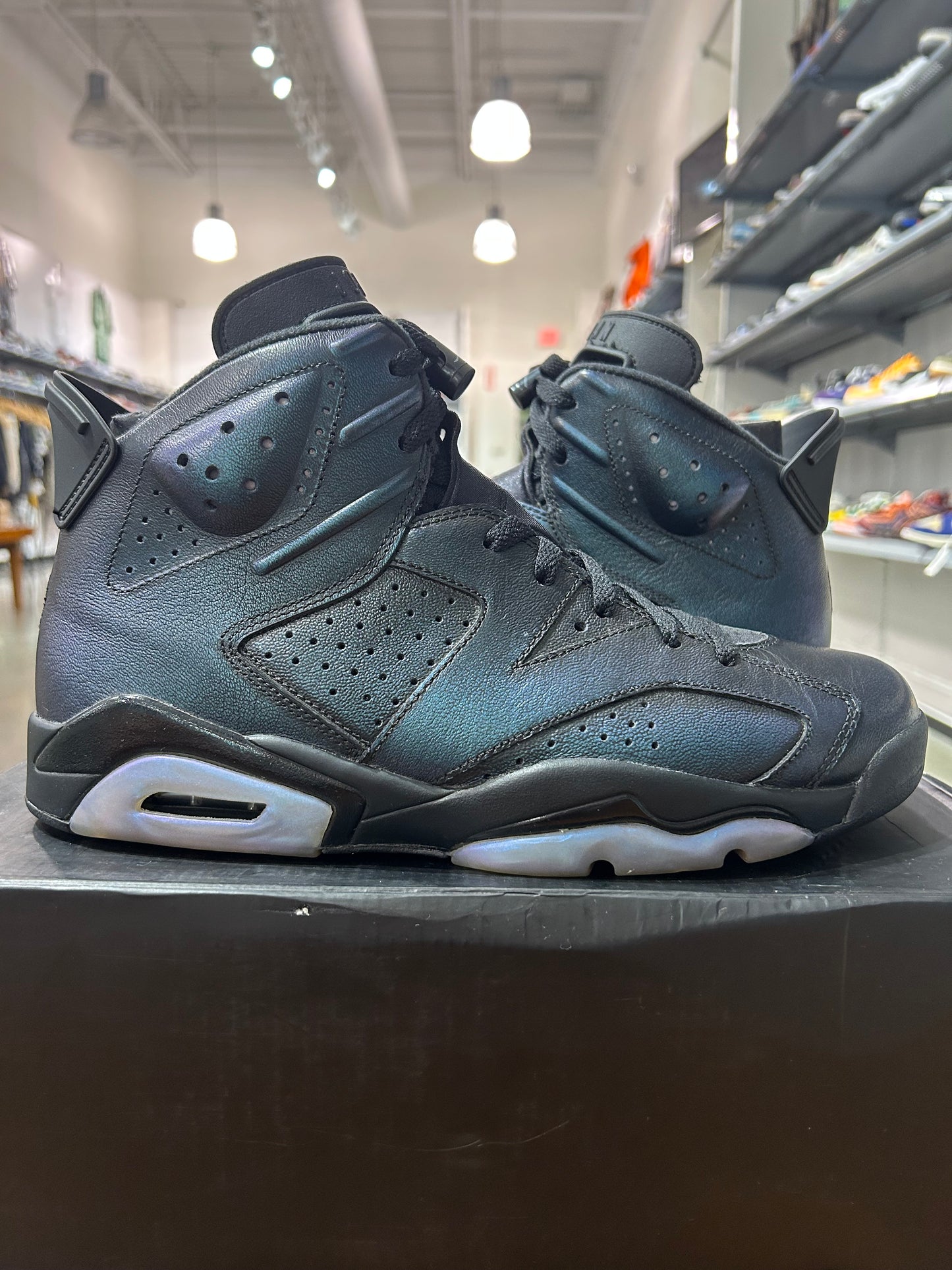 Preowned Air Jordan 6 All Star Chameleon