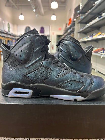 PREOWNED Air Jordan 6 All Star Chameleon
