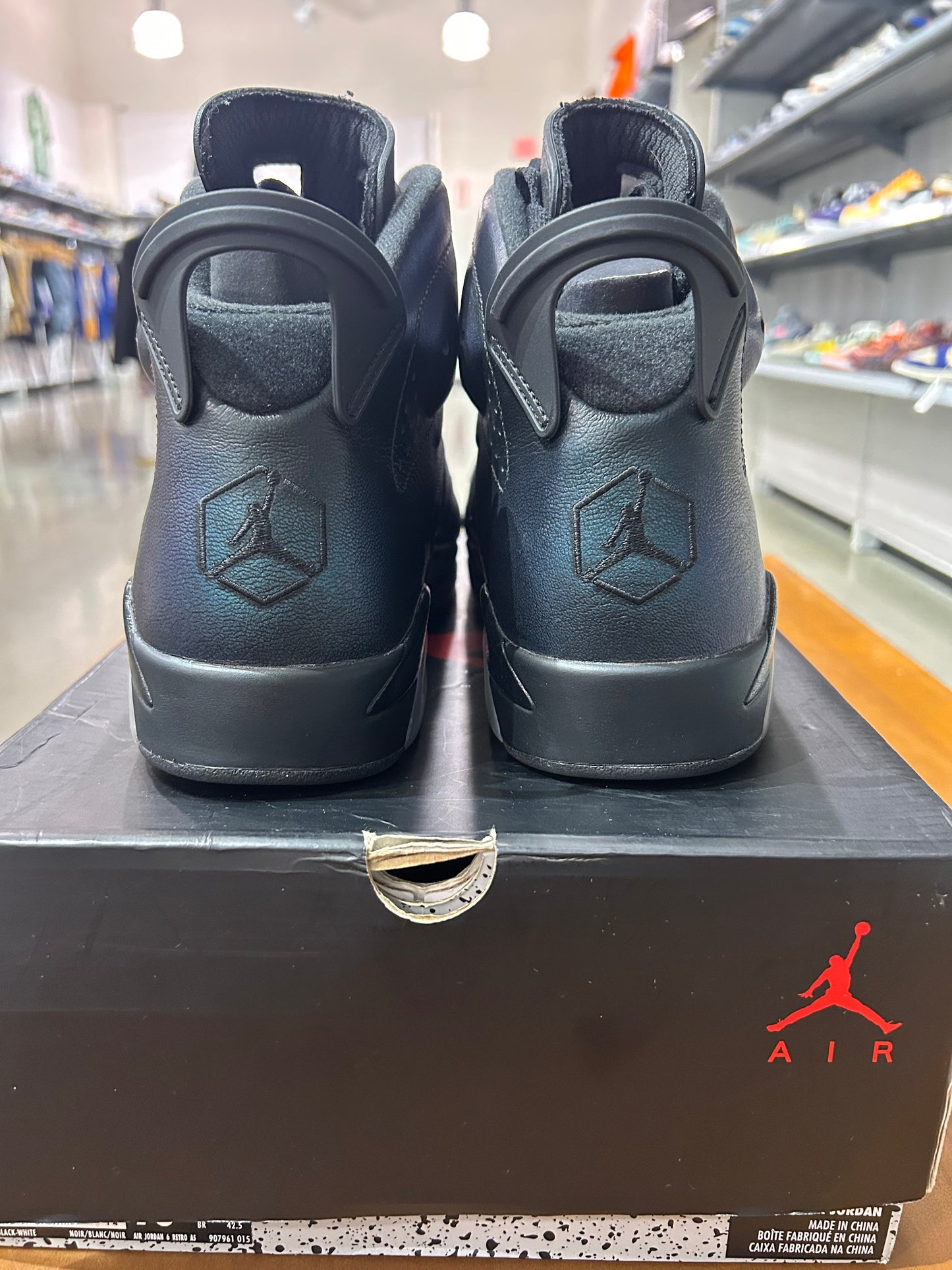 PREOWNED Air Jordan 6 All Star Chameleon