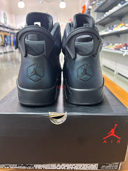 PREOWNED Air Jordan 6 All Star Chameleon