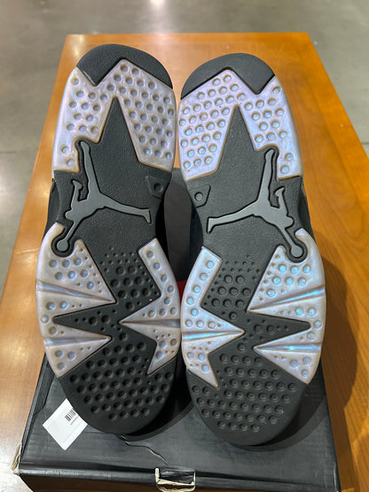 PREOWNED Air Jordan 6 All Star Chameleon