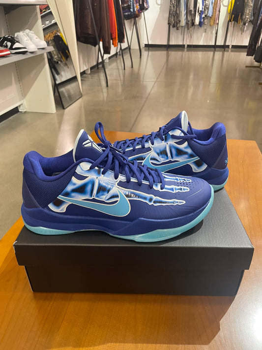 Kobe 5 Xray