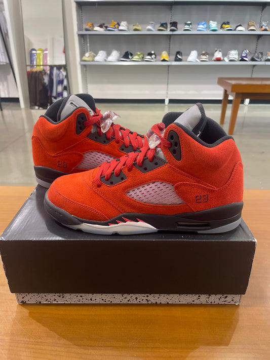 Air Jordan 5 Raging Bull