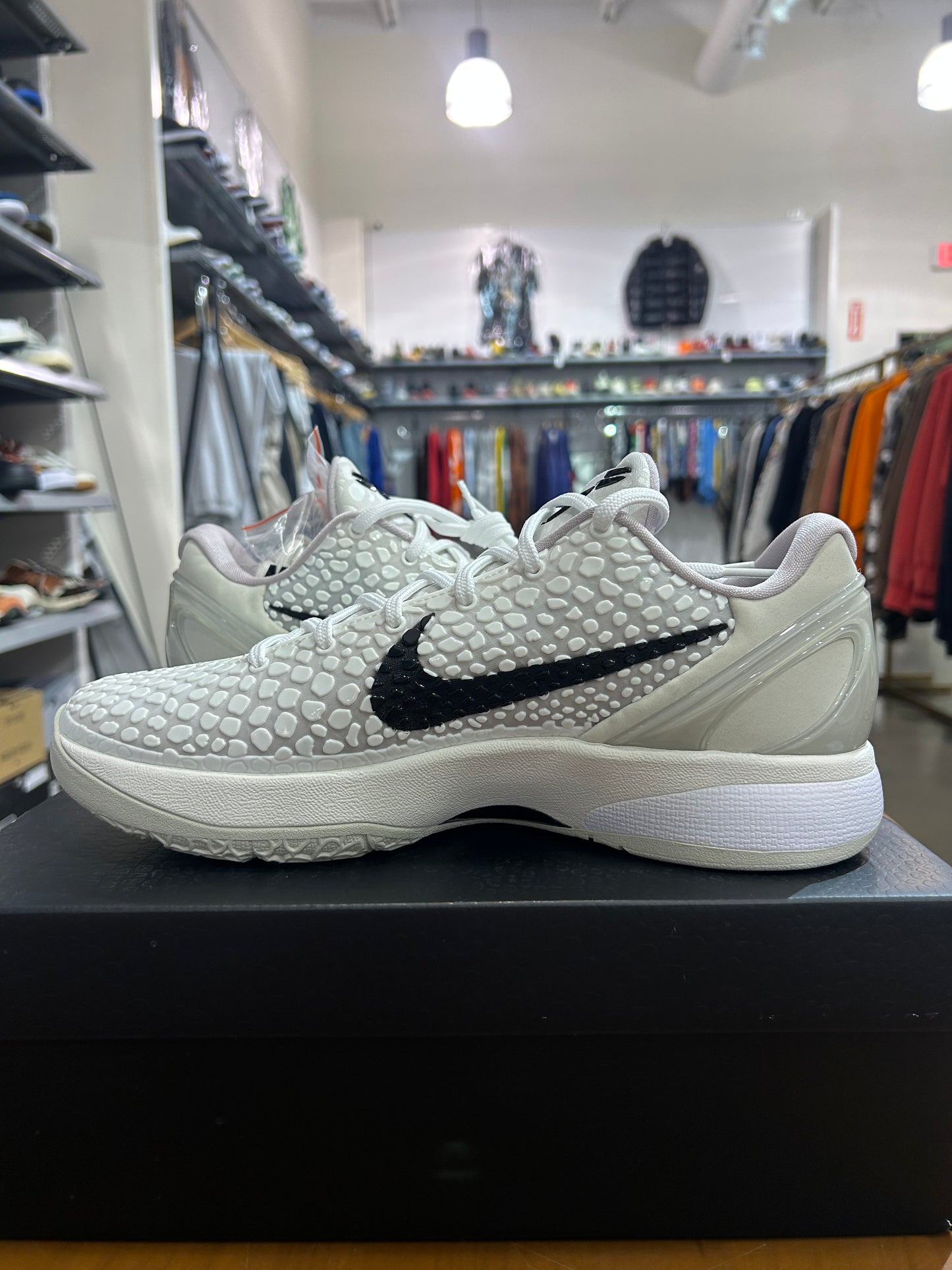 Nike Kobe 6 Protro Sail All-Star