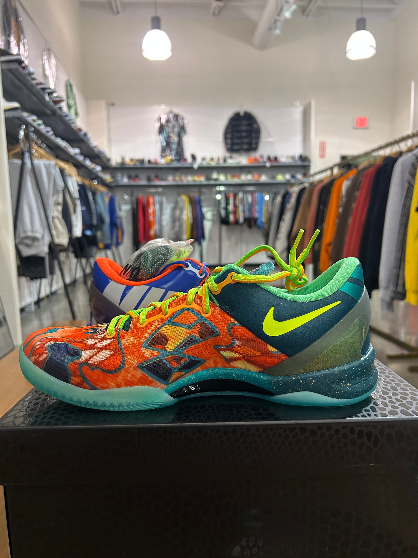 Nike Kobe 8 Protro What The (2025)