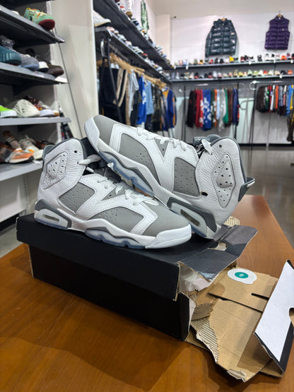 Air Jordan 6 Cool Grey