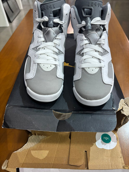 Air Jordan 6 Cool Grey