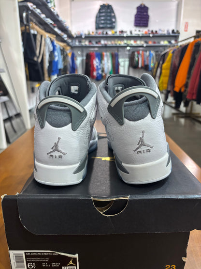 Air Jordan 6 Cool Grey