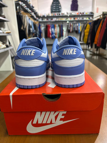 PREOWNED Nike Dunk Low Polar Blue Size 10.5