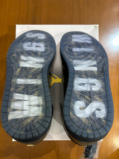 Air Jordan 1 Wings