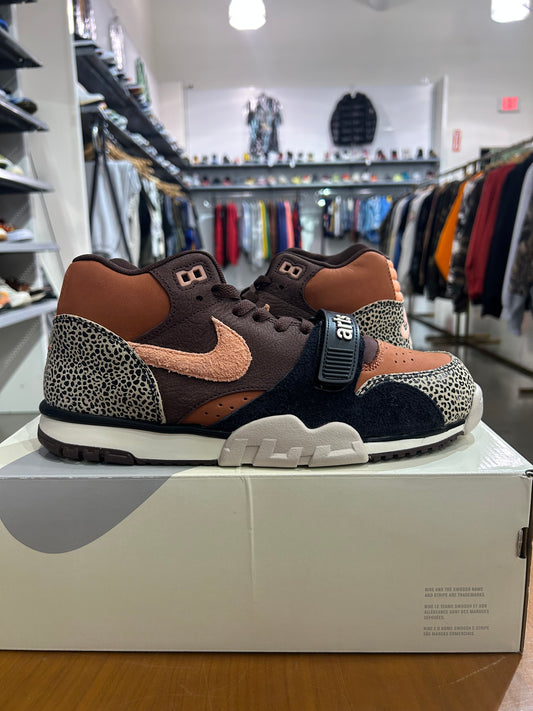 Nike SB Air Trainer 1 Arts Rec Limestone