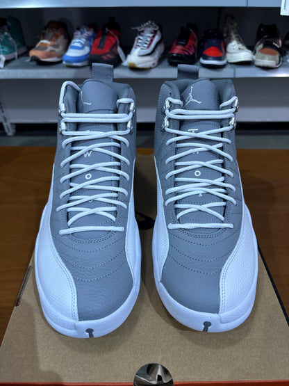 Air Jordan 12 Stealth