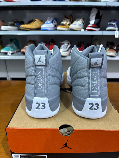 Air Jordan 12 Stealth