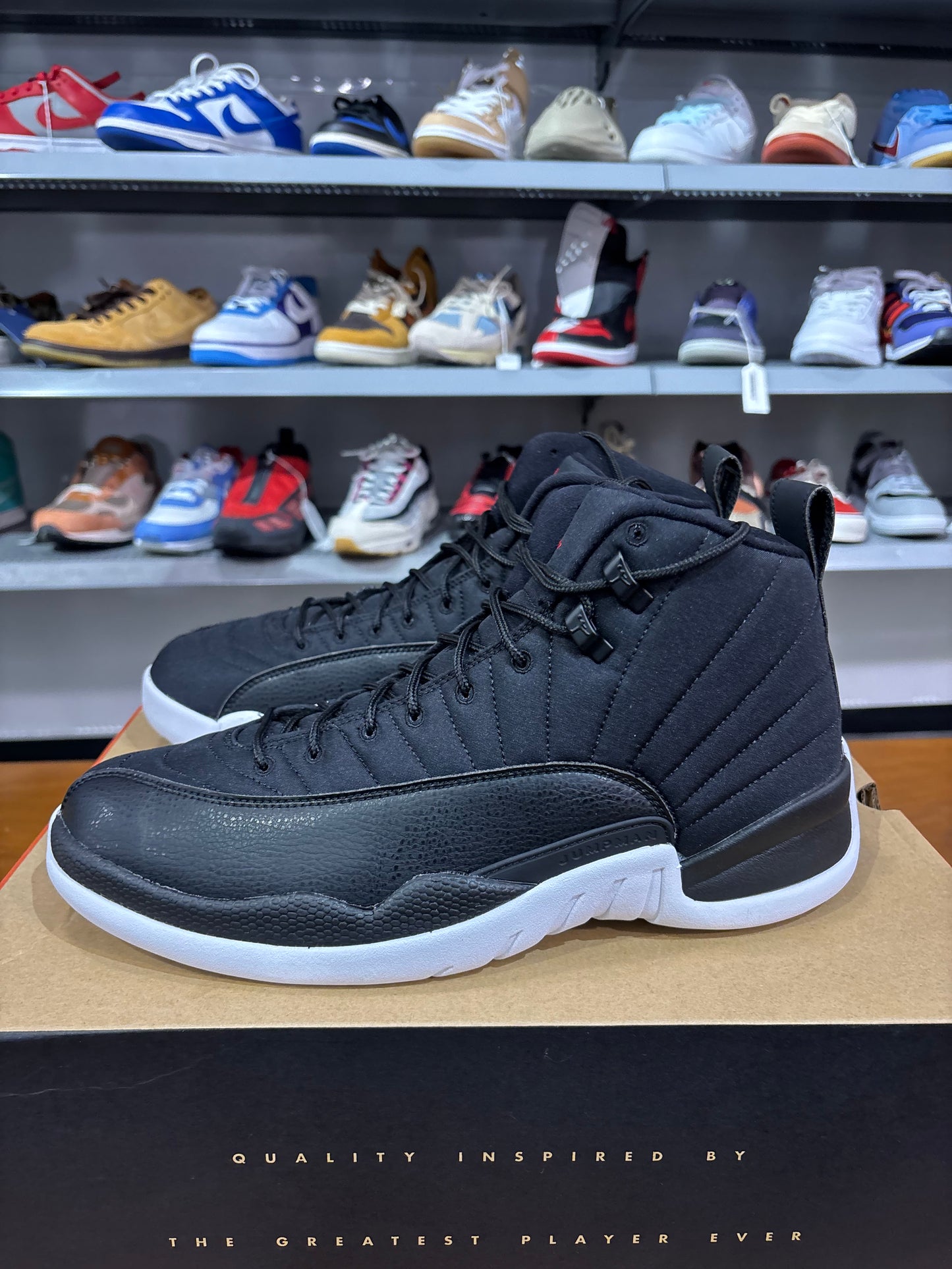 Air Jordan 12 Nylon