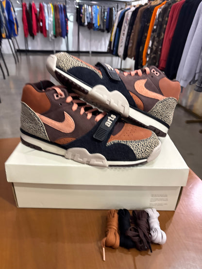 Preowned Nike SB Air Trainer 1 Arts-Rec Limestone