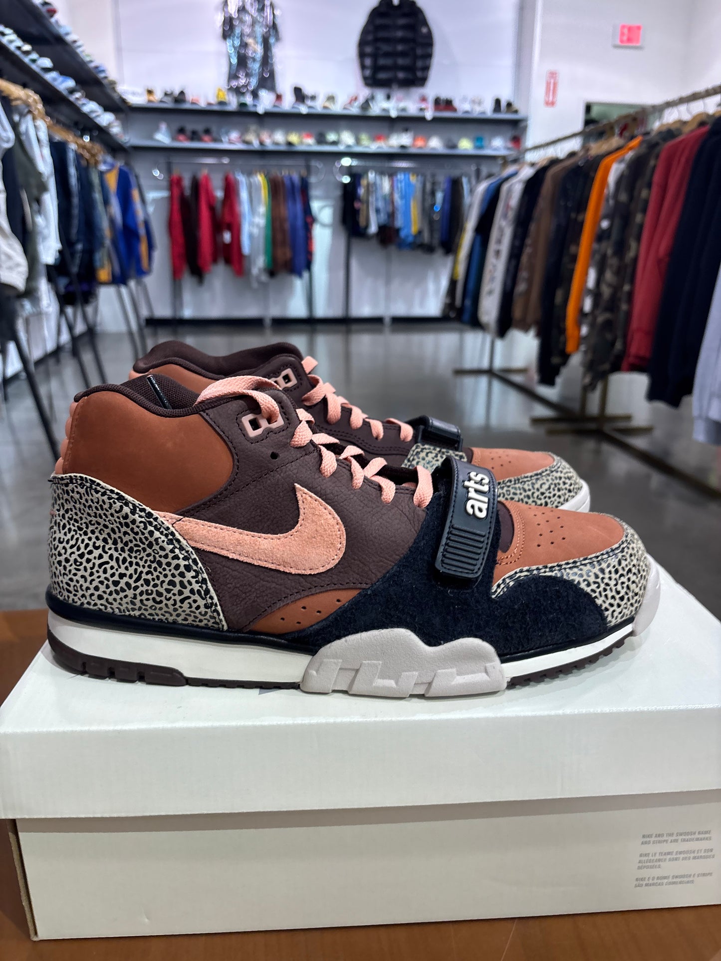 Preowned Nike SB Air Trainer 1 Arts-Rec Limestone