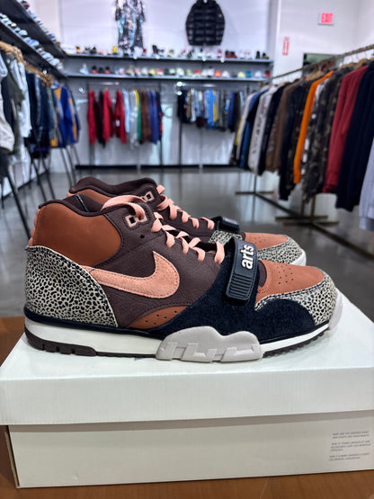 Preowned Nike SB Air Trainer 1 Arts-Rec Limestone