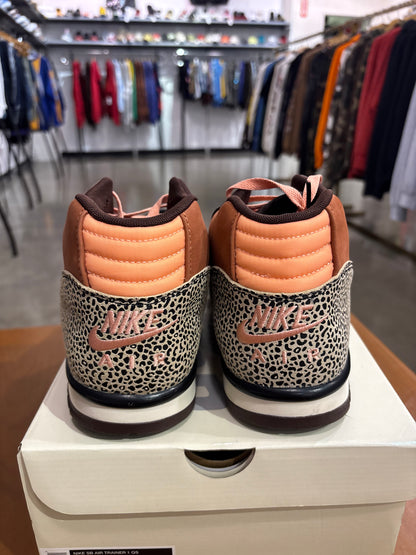 Preowned Nike SB Air Trainer 1 Arts-Rec Limestone