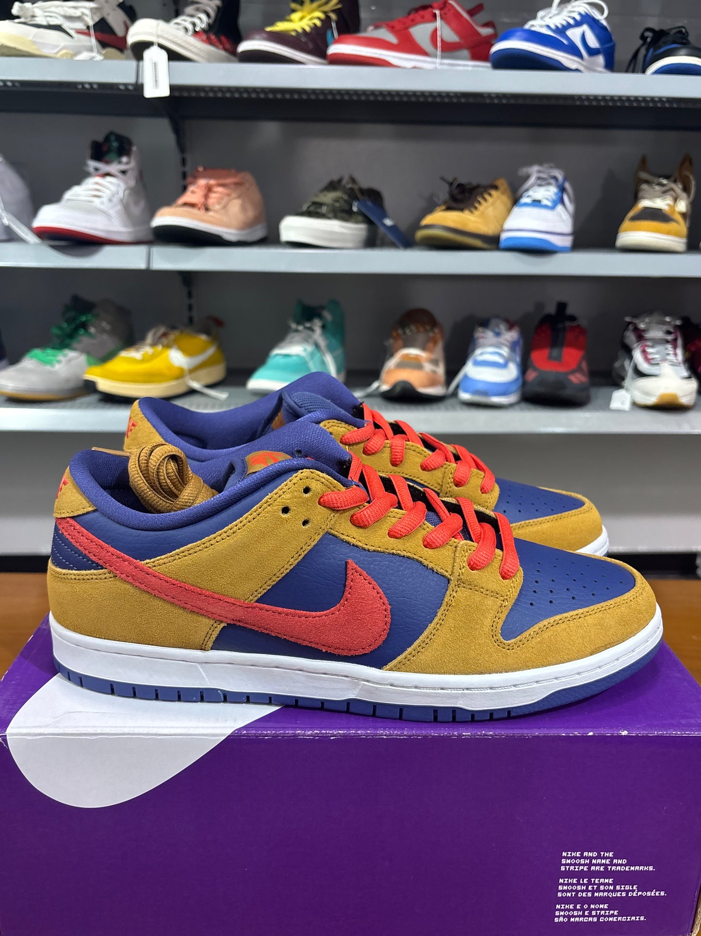 Nike SB Dunk Low Reverse Papa Bear
