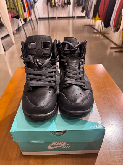 Preowned Nike SB Dunk High FPAR