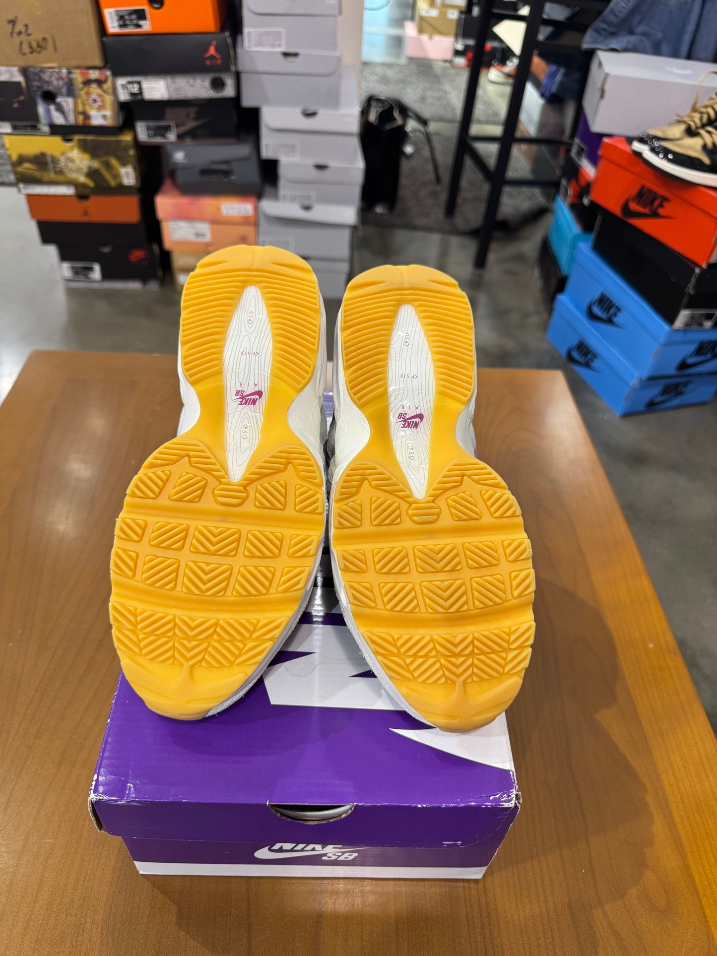 Nike Air Max 95 SB Cactus Flower