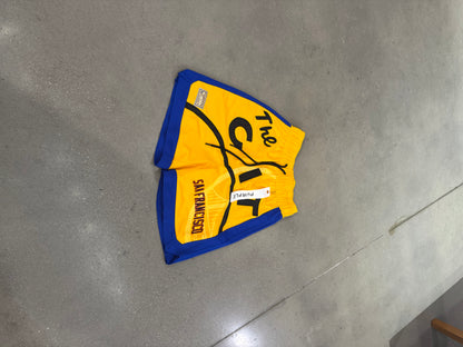 Preowned Purple Mesh Shorts