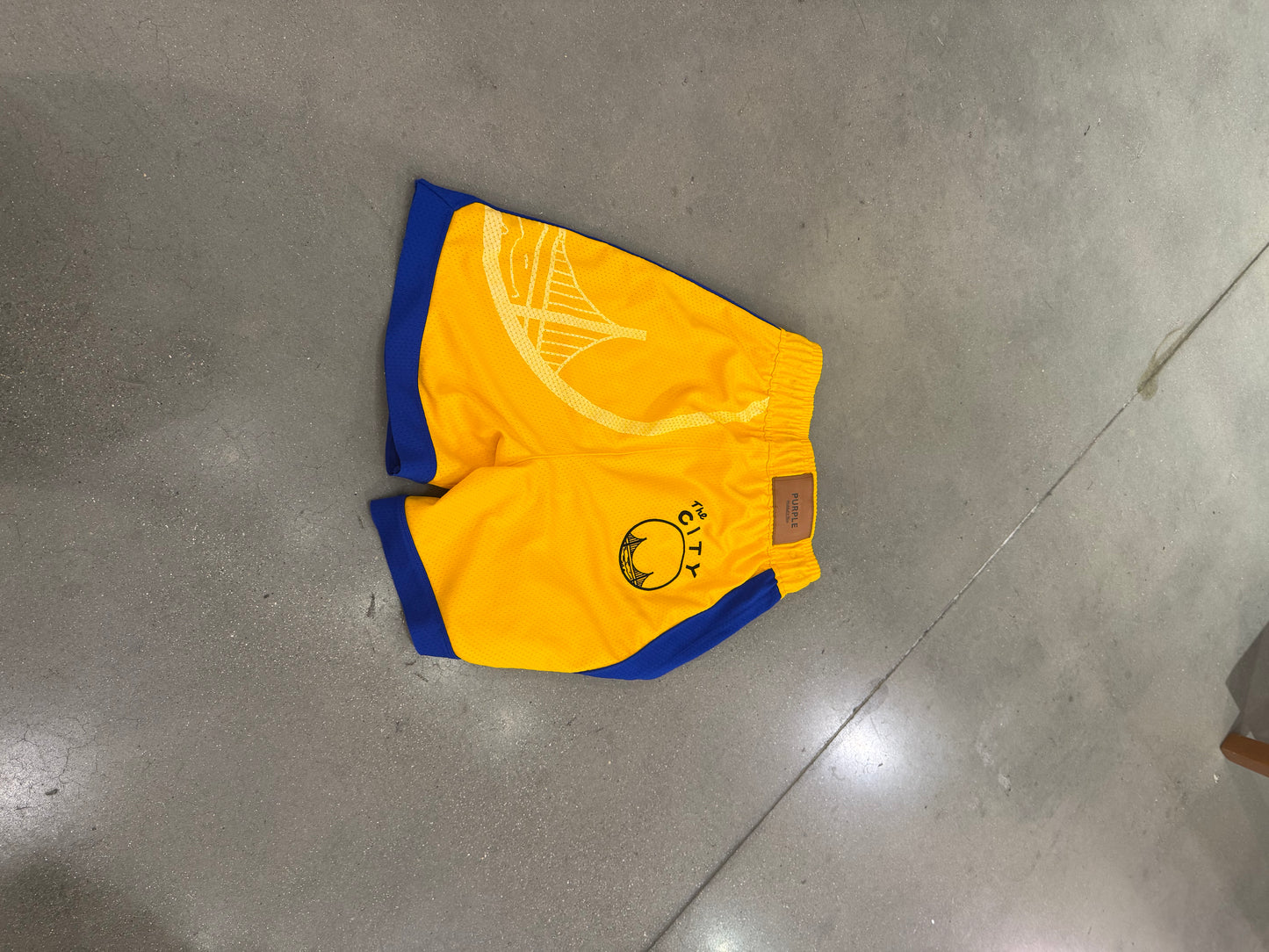 Preowned Purple Mesh Shorts